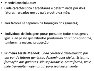 • Mendel concluiu que:
• Cada característica hereditárias é determinada por dois
fatores herdados um do pais e outro da mãe;
• Tais fatores se separam na formação dos gametas;
• Indivíduos de linhagens puras possuem todos seus genes
iguais, ao passo que híbridos produzirão dois tipos distintos,
também na mesma proporção.
• Primeira Lei de Mendel: Cada caráter é determinado por
um par de fatores genéticos denominados alelos. Estes, na
formação dos gametas, são separados e, desta forma, pai e
mãe transmitem apenas um para seu descendente.
 