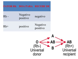 FATOR Rh DOA PARA RECEBE DE
Rh -
Negativo
positivo
negativo
Rh+ positivo
Negativo
positivo
 