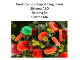 Genética dos Grupos Sanguíneos
Sistema ABO
Sistema Rh
Sistema MN
 