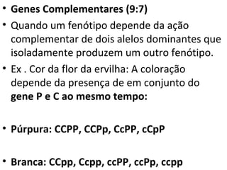 • Genes Complementares (9:7)
• Quando um fenótipo depende da ação
complementar de dois alelos dominantes que
isoladamente produzem um outro fenótipo.
• Ex . Cor da flor da ervilha: A coloração
depende da presença de em conjunto do
gene P e C ao mesmo tempo:
• Púrpura: CCPP, CCPp, CcPP, cCpP
• Branca: CCpp, Ccpp, ccPP, ccPp, ccpp
 