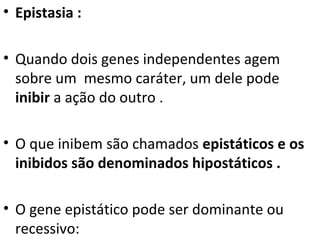 • Epistasia :
• Quando dois genes independentes agem
sobre um mesmo caráter, um dele pode
inibir a ação do outro .
• O que inibem são chamados epistáticos e os
inibidos são denominados hipostáticos .
• O gene epistático pode ser dominante ou
recessivo:
 