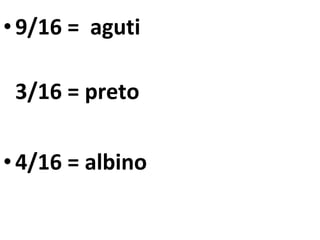•9/16 = aguti
3/16 = preto
•4/16 = albino
 