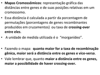 • Mapas Cromossômicos: representação gráfica das
distâncias entre genes e de suas posições relativas em um
cromossomo.
• Essa distância é calculada a partir da porcentagem de
permutações (porcentagens de genes recombinantes
produzidos em cruzamentos) ou taxa de crossing-over
entre eles.
• A unidade de medida utilizada é o “morganídeo”.
• Fazendo o mapa: quanto maior for a taxa de recombinação
gênica, maior será a distância entre os genes e vice-versa.
• Vale lembrar que, quanto maior a distância entre os genes,
maior a possibilidade de haver crossing-over.
 