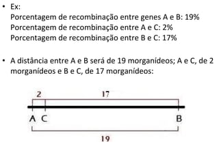 • Ex:
Porcentagem de recombinação entre genes A e B: 19%
Porcentagem de recombinação entre A e C: 2%
Porcentagem de recombinação entre B e C: 17%
• A distância entre A e B será de 19 morganídeos; A e C, de 2
morganídeos e B e C, de 17 morganídeos:
 