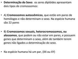 • Determinação do Sexo: os seres diplóides apresentam
dois tipos de cromossomos:
• A) Cromossomos autossômicos, que estão em pares de
homólogos e não determinam o sexo. Na espécie humana
são 22 pares
• B) Cromossomos sexuais, heterocromossomos, ou
alossomos, que podem ou não estar em pares, e possuem
genes que determinam o sexo, além de também terem
genes não ligados a determinação do sexo.
• Na espécie humana há um par, (XX ou XY)
 