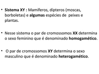 • Sistema XY : Mamíferos, dípteros (moscas,
borboletas) e algumas espécies de peixes e
plantas.
• Nesse sistema o par de cromossomos XX determina
o sexo feminino que é denominado homogamético.
• O par de cromossomos XY determina o sexo
masculino que é denominado heterogamético.
 