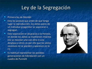 Ley de la SegregaciónLey de la Segregación
 Primera ley de MendelPrimera ley de Mendel
 Esta ley postula que antes de que tengaEsta ley postula que antes de que tenga
lugar la reproducción, los alelos pares delugar la reproducción, los alelos pares de
un individuo progenitor se separaran oun individuo progenitor se separaran o
segregan.segregan.
 Esta separación se da gracias a la meiosis,Esta separación se da gracias a la meiosis,
en donde los alelos se mantienen intactosen donde los alelos se mantienen intactos
(no se mezclan uno con otro ni uno(no se mezclan uno con otro ni uno
desplaza a otro); es por ello que los alelosdesplaza a otro); es por ello que los alelos
recesivos no se pierden y aparecen en larecesivos no se pierden y aparecen en la
F2.F2.
 Es habitual representar las posiblesEs habitual representar las posibles
generaciones de hibridación con ungeneraciones de hibridación con un
cuadro de Punnettcuadro de Punnett
 