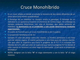 Cruce MonohíbridoCruce Monohíbrido
 Es un cruce simple en donde se estudia la herencia de dos alelos diferentes de unEs un cruce simple en donde se estudia la herencia de dos alelos diferentes de un
único locus (una misma característica).único locus (una misma característica).
 El fenotipo de un individuo no siempre revela su genotipo. El fenotipo de unEl fenotipo de un individuo no siempre revela su genotipo. El fenotipo de un
individuo es su apariencia respecto a la herencia de ciertos rasgos. Sin embargo noindividuo es su apariencia respecto a la herencia de ciertos rasgos. Sin embargo no
siempre podemos determinar, con solo el fenotipo, que alelos presenta unsiempre podemos determinar, con solo el fenotipo, que alelos presenta un
individuo.individuo. La dominancia no es predecible y solo puede determinarse medianteLa dominancia no es predecible y solo puede determinarse mediante
experimentos.experimentos.
 El cuadro de Punnett para un cruce monohíbrido es de 4 cuadros.El cuadro de Punnett para un cruce monohíbrido es de 4 cuadros.
 La proporción fenotípica es de 3:1La proporción fenotípica es de 3:1
 Ejemplo: El color del pelaje entre dos ratones. La hembra pertenece a una líneaEjemplo: El color del pelaje entre dos ratones. La hembra pertenece a una línea
pura de ratones negros. El macho pertenece a una línea pura de ratones marrón.pura de ratones negros. El macho pertenece a una línea pura de ratones marrón.
¿De qué color se esperaría que fuera la progenie de la F1? Y si cruzamos dos¿De qué color se esperaría que fuera la progenie de la F1? Y si cruzamos dos
híbridos de la F1 ¿De qué color se esperaría que fuera la progenie F2? En donde elhíbridos de la F1 ¿De qué color se esperaría que fuera la progenie F2? En donde el
color marrón es recesivo y el color negro es dominante. ¿Cuál sería su proporcióncolor marrón es recesivo y el color negro es dominante. ¿Cuál sería su proporción
fenotípica?fenotípica?
 NOTA: designar con la letraNOTA: designar con la letra “A”“A” el rasgo dominante y con la letra “el rasgo dominante y con la letra “aa”” el rasgoel rasgo
recesivo.recesivo.
 