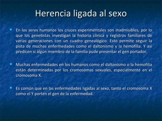 Herencia ligada al sexoHerencia ligada al sexo
 En los seres humanos los cruces experimentales son inadmisibles, por loEn los seres humanos los cruces experimentales son inadmisibles, por lo
que los genetistas investigan la historia clínica y registros familiares deque los genetistas investigan la historia clínica y registros familiares de
varias generaciones con un cuadro genealógico. Esto permite seguir lavarias generaciones con un cuadro genealógico. Esto permite seguir la
pista de muchas enfermedades como el daltonismo y la hemofilia. Y asípista de muchas enfermedades como el daltonismo y la hemofilia. Y así
predicen si algún miembro de la familia pude presentar el gen portador.predicen si algún miembro de la familia pude presentar el gen portador.
 Muchas enfermedades en los humanos como el daltonismo o la hemofiliaMuchas enfermedades en los humanos como el daltonismo o la hemofilia
están determinadas por los cromosomas sexuales, especialmente en elestán determinadas por los cromosomas sexuales, especialmente en el
cromosoma X.cromosoma X.
 Es común que en las enfermedades ligadas al sexo, tanto el cromosoma XEs común que en las enfermedades ligadas al sexo, tanto el cromosoma X
como el Y porten el gen de la enfermedad.como el Y porten el gen de la enfermedad.
 