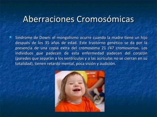 Aberraciones CromosómicasAberraciones Cromosómicas
 Síndrome de Down: el mongolismo ocurre cuando la madre tiene un hijoSíndrome de Down: el mongolismo ocurre cuando la madre tiene un hijo
después de los 35 años de edad. Este trastorno genético se da por ladespués de los 35 años de edad. Este trastorno genético se da por la
presencia de una copia extra del cromosoma 21 /47 cromosomas. Lospresencia de una copia extra del cromosoma 21 /47 cromosomas. Los
individuos que padecen de esta enfermedad padecen del corazónindividuos que padecen de esta enfermedad padecen del corazón
(paredes que separan a los ventrículos y a las aurículas no se cierran en su(paredes que separan a los ventrículos y a las aurículas no se cierran en su
totalidad), tienen retardo mental, poca visión y audición.totalidad), tienen retardo mental, poca visión y audición.
 
