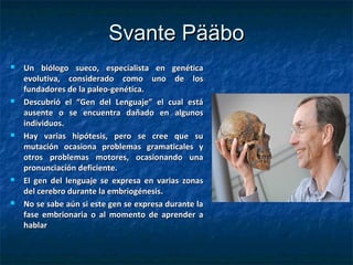 Svante PääboSvante Pääbo
 Un biólogo sueco, especialista en genéticaUn biólogo sueco, especialista en genética
evolutiva, considerado como uno de losevolutiva, considerado como uno de los
fundadores de la paleo-genética.fundadores de la paleo-genética.
 Descubrió el “Gen del Lenguaje” el cual estáDescubrió el “Gen del Lenguaje” el cual está
ausente o se encuentra dañado en algunosausente o se encuentra dañado en algunos
individuos.individuos.
 Hay varias hipótesis, pero se cree que suHay varias hipótesis, pero se cree que su
mutación ocasiona problemas gramaticales ymutación ocasiona problemas gramaticales y
otros problemas motores, ocasionando unaotros problemas motores, ocasionando una
pronunciación deficiente.pronunciación deficiente.
 El gen del lenguaje se expresa en varias zonasEl gen del lenguaje se expresa en varias zonas
del cerebro durante la embriogénesis.del cerebro durante la embriogénesis.
 No se sabe aún si este gen se expresa durante laNo se sabe aún si este gen se expresa durante la
fase embrionaria o al momento de aprender afase embrionaria o al momento de aprender a
hablarhablar
 