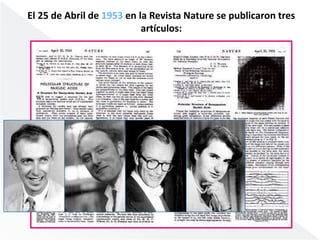 El 25 de Abril de 1953 en la Revista Nature se publicaron tres 
artículos: 
 