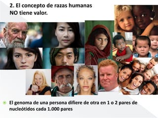2. El concepto de razas humanas 
NO tiene valor. 
 El genoma de una persona difiere de otra en 1 o 2 pares de 
nucleótidos cada 1.000 pares 
 