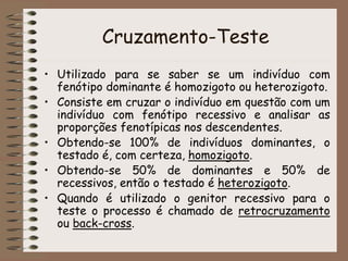 Cruzamento-Teste
• Utilizado para se saber se um indivíduo com
fenótipo dominante é homozigoto ou heterozigoto.
• Consiste em cruzar o indivíduo em questão com um
indivíduo com fenótipo recessivo e analisar as
proporções fenotípicas nos descendentes.
• Obtendo-se 100% de indivíduos dominantes, o
testado é, com certeza, homozigoto.
• Obtendo-se 50% de dominantes e 50% de
recessivos, então o testado é heterozigoto.
• Quando é utilizado o genitor recessivo para o
teste o processo é chamado de retrocruzamento
ou back-cross.
 