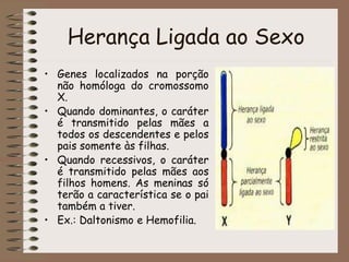 Herança Ligada ao Sexo
• Genes localizados na porção
não homóloga do cromossomo
X.
• Quando dominantes, o caráter
é transmitido pelas mães a
todos os descendentes e pelos
pais somente às filhas.
• Quando recessivos, o caráter
é transmitido pelas mães aos
filhos homens. As meninas só
terão a característica se o pai
também a tiver.
• Ex.: Daltonismo e Hemofilia.
 