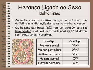 Herança Ligada ao Sexo
Daltonismo
• Anomalia visual recessiva em que o indivíduo tem
deficiência na distinção das cores vermelha ou verde.
• Os homens daltônicos (8%) tem um gene Xd pois são
hemizigotos e as mulheres daltônicas (0,64%) devem
ser homozigotas recessivas.
Fenótipo Genótipo
Mulher normal XDXD
Mulher portadora XDXd
Mulher daltônica XdXd
Homem normal XDY
Homem daltônico XdY
 