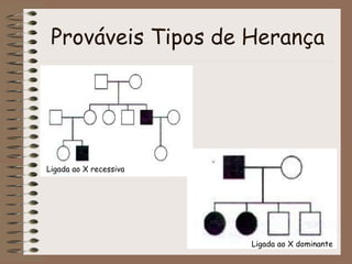 Prováveis Tipos de Herança
Ligada ao X recessiva
Ligada ao X dominante
 