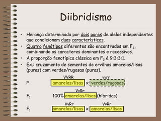 Diibridismo
• Herança determinada por dois pares de alelos independentes
que condicionam duas características.
• Quatro fenótipos diferentes são encontrados em F2,
combinando os caracteres dominantes e recessivos.
• A proporção fenotípica clássica em F2 é 9:3:3:1.
• Ex.: cruzamento de sementes de ervilhas amarelas/lisas
(puras) com verdes/rugosas (puras).
P amarelas/lisas x verdes/rugosas
F1 100% amarelas/lisas (híbridas)
F1 amarelas/lisas x amarelas/lisas
VVRR vvrr
VvRr
VvRr VvRr
 