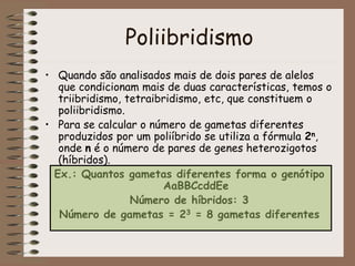 Poliibridismo
• Quando são analisados mais de dois pares de alelos
que condicionam mais de duas características, temos o
triibridismo, tetraibridismo, etc, que constituem o
poliibridismo.
• Para se calcular o número de gametas diferentes
produzidos por um poliíbrido se utiliza a fórmula 2n,
onde n é o número de pares de genes heterozigotos
(híbridos).
Ex.: Quantos gametas diferentes forma o genótipo
AaBBCcddEe
Número de híbridos: 3
Número de gametas = 23 = 8 gametas diferentes
 