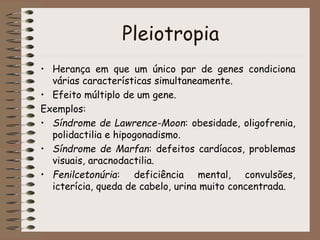 Pleiotropia
• Herança em que um único par de genes condiciona
várias características simultaneamente.
• Efeito múltiplo de um gene.
Exemplos:
• Síndrome de Lawrence-Moon: obesidade, oligofrenia,
polidactilia e hipogonadismo.
• Síndrome de Marfan: defeitos cardíacos, problemas
visuais, aracnodactilia.
• Fenilcetonúria: deficiência mental, convulsões,
icterícia, queda de cabelo, urina muito concentrada.
 