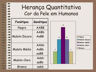 Herança Quantitativa
Cor da Pele em Humanos
Fenótipos Genótipos
Negro AABB
Mulato Escuro
AABb
AaBB
Mulato Médio
AAbb
AaBb
aaBB
Mulato Claro
Aabb
aaBb
Branco aabb
1
2
3
2
1
Negro
Mulato Escuro
Mulato Médio
Mulato Claro
Branco
 
