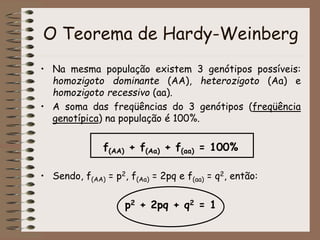 O Teorema de Hardy-Weinberg
• Na mesma população existem 3 genótipos possíveis:
homozigoto dominante (AA), heterozigoto (Aa) e
homozigoto recessivo (aa).
• A soma das freqüências do 3 genótipos (freqüência
genotípica) na população é 100%.
f(AA) + f(Aa) + f(aa) = 100%
• Sendo, f(AA) = p2, f(Aa) = 2pq e f(aa) = q2, então:
p2 + 2pq + q2 = 1
 