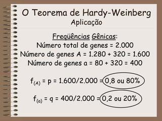 O Teorema de Hardy-Weinberg
Aplicação
Freqüências Gênicas:
Número total de genes = 2.000
Número de genes A = 1.280 + 320 = 1.600
Número de genes a = 80 + 320 = 400
f(A) = p = 1.600/2.000 = 0,8 ou 80%
f(a) = q = 400/2.000 = 0,2 ou 20%
 