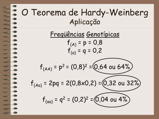 O Teorema de Hardy-Weinberg
Aplicação
Freqüências Genotípicas
f(A) = p = 0,8
f(a) = q = 0,2
f(AA) = p2 = (0,8)2 = 0,64 ou 64%
f(Aa) = 2pq = 2(0,8x0,2) = 0,32 ou 32%
f(aa) = q2 = (0,2)2 = 0,04 ou 4%
 