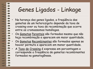 Genes Ligados - Linkage
• Na herança dos genes ligados, a freqüência dos
gametas de um heterozigoto depende da taxa de
crossing-over ou taxa de recombinação que ocorre
entre os cromossomos homólogos.
• Os Gametas Parentais são formados mesmo que não
haja recombinação e aparecem em maior quantidade.
• Os Gametas Recombinantes são formados apenas se
houver permuta e aparecem em menor quantidade.
• A Taxa de Crossing é expressa em porcentagem e
corresponde a freqüência de gametas recombinantes
formados na gametogênese.
 