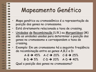 Mapeamento Genético
• Mapa genético ou cromossômico é a representação da
posição dos genes no cromossomo.
• Está diretamente relacionada a taxa de crossing.
• Unidades de Recombinação (U.R.) ou Morganídeos (M)
são as unidades usadas para determinar a posição dos
genes no cromossomo e correspondem a taxa de
crossing.
• Exemplo: Em um cromossomo há a seguinte freqüência
de recombinação entre os genes A,B,C e D:
A-B  45% A-C  20% C-B  25%
B-D  5% C-D  20% A-D  40%
Qual a posição dos genes no cromossomo?
 
