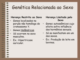 Herança Influenciada pelo Sexo
• Genes autossômicos cujo efeito sofre influência dos
hormônios sexuais.
• Comportamento di...