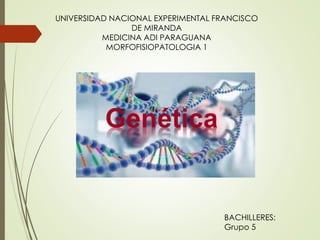 UNIVERSIDAD NACIONAL EXPERIMENTAL FRANCISCO
DE MIRANDA
MEDICINA ADI PARAGUANA
MORFOFISIOPATOLOGIA 1
BACHILLERES:
Grupo 5
 