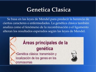 Genetica Clasica
Se basa en las leyes de Mendel para predecir la herencia de 
ciertos caracteres o enfermedades. La genética clásica también 
analiza como el fenómeno de la recombinación o el ligamento 
alteran los resultados esperados según las leyes de Mendel.
 