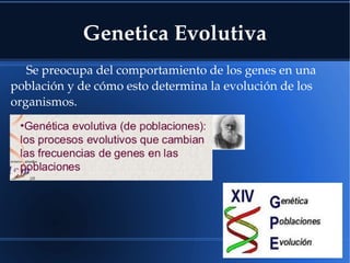 Genetica Evolutiva
Se preocupa del comportamiento de los genes en una 
población y de cómo esto determina la evolución de los 
organismos.
 