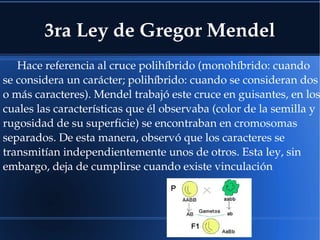 3ra Ley de Gregor Mendel
Hace referencia al cruce polihíbrido (monohíbrido: cuando 
se considera un carácter; polihíbrido: cuando se consideran dos 
o más caracteres). Mendel trabajó este cruce en guisantes, en los
cuales las características que él observaba (color de la semilla y 
rugosidad de su superficie) se encontraban en cromosomas 
separados. De esta manera, observó que los caracteres se 
transmitían independientemente unos de otros. Esta ley, sin 
embargo, deja de cumplirse cuando existe vinculación
 