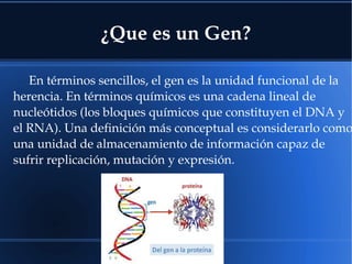 ¿Que es un Gen?
En términos sencillos, el gen es la unidad funcional de la 
herencia. En términos químicos es una cadena lineal de 
nucleótidos (los bloques químicos que constituyen el DNA y 
el RNA). Una definición más conceptual es considerarlo como
una unidad de almacenamiento de información capaz de 
sufrir replicación, mutación y expresión.
 