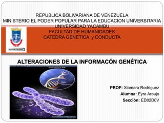 ALTERACIONES DE LA INFORMACÓN GENÉTICA
PROF: Xiomara Rodríguez
Alumna: Eyra Araujo
Sección: ED02D0V
REPUBLICA BOLIVARIANA DE VENEZUELA
MINISTERIO EL PODER POPULAR PARA LA EDUCACION UNIVERSITARIA
UNIVERSIDAD YACAMBU
FACULTAD DE HUMANIDADES
CATEDRA GENETICA y CONDUCTA
 