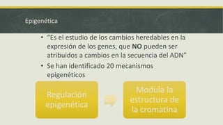 Epigenética
Regulación
epigenética
Modula la
estructura de
la cromatina
• “Es el estudio de los cambios heredables en la
expresión de los genes, que NO pueden ser
atribuidos a cambios en la secuencia del ADN”
• Se han identificado 20 mecanismos
epigenéticos
 