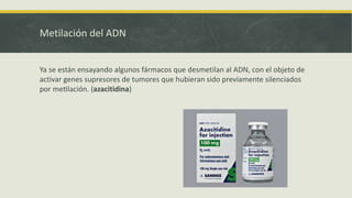 Metilación del ADN
Ya se están ensayando algunos fármacos que desmetilan al ADN, con el objeto de
activar genes supresores de tumores que hubieran sido previamente silenciados
por meeilación. (azacitidina)
 