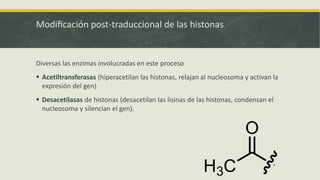 Modificación post-traduccional de las histonas
Diversas las enzimas involucradas en este proceso
 Acetiltransferasas (hiperacetilan las histonas, relajan al nucleosoma y activan la
expresión del gen)
 Desacetilasas de histonas (desacetilan las lisinas de las histonas, condensan el
nucleosoma y silencian el gen).
 