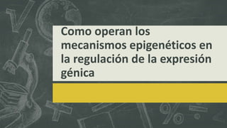 Como operan los
mecanismos epigenéticos en
la regulación de la expresión
génica
 