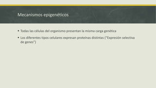 Mecanismos epigenéticos
 Todas las células del organismo presentan la misma carga genética
 Los diferentes tipos celulares expresan proteínas distintas (“Expresión selectiva
de genes”)
 