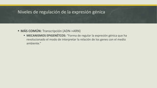 Niveles de regulación de la expresión génica
 MÁS COMÚN: Transcripción (ADN->ARN)
 MECANISMOS EPIGENÉTCOS: “Forma de regular la expresión génica que ha
revolucionado el modo de interpretar la relación de los genes con el medio
ambiente.”
 