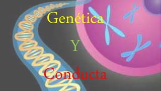 Genética
Y
Conducta
 
