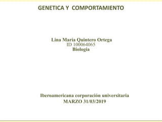 GENETICA Y COMPORTAMIENTO
Lina María Quintero Ortega
ID 100064065
Biologia
Iberoamericana corporación universitaria
MARZO 31/03/2019
 