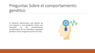 Preguntas Sobre el comportamiento
genético
Si nosotros observamos que dentro de
una especie o una población existe una
variación en las características
conductuales de los individuos podemos
plantear varias preguntas acerca de esto.
 