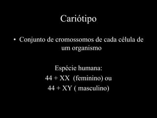 Cariótipo
• Conjunto de cromossomos de cada célula de
um organismo
Espécie humana:
44 + XX (feminino) ou
44 + XY ( masculino)
 