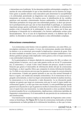 Genética
CAPÍTULO 5
Desde la herencia a la manipulación de los genes
61
Silvia B. Copelli
e interactúan con el ambiente. Se las denomina también enfermedades complejas. En
muchas de estas enfermedades lo que se han identificado son los factores de riesgo.
Estos genes se pueden utilizar como marcadores para determinar la susceptibilidad
a la enfermedad, permitiendo un diagnóstico más temprano y en consecuencia el
tratamiento será más exitoso. En muchos casos, la identificación de las variables
genéticas está asociada a determinados factores ambientales. La identificación de
individuos portadores de riesgo para una enfermedad genética, es decir que presen-
ten la predisposición pero que aún no han desarrollado la patología, es sumamente
importante porque quizás cambiando el modo de vida o los hábitos de alimentación
pueden evitar el desarrollo de la enfermedad. Es decir, los genes son la base que
predispone el desarrollo de la enfermedad y los factores ambientales actúan como
desencadenantes. Tal es el caso de la hipertensión arterial, o la diabetes tipo II en
adultos: la obesidad en ambos casos predispone a estas enfermedades complejas.
Alteraciones cromosómicas:
Los cromosomas como hemos visto en capítulos anteriores, son como libros, cu-
yas páginas contienen a los genes. A veces, los cromosomas, pueden estar alterados
en número o en su estructura, provocando la duplicación o ausencia de genes. Esto
da como resultado en muchos casos, a la existencia de fenotipos sindrómicos o sín-
dromes genéticos (porque están implicados varios genes) y esto es lo que caracteriza
a una enfermedad cromosómica.
En la gametogénesis el número diploide de cromosomas (2n=46), se reduce a la
mitad durante la meiosis, con lo que cada gameta recibe un set de 23 cromosomas
(n), 22 autosomas y 1 sexual. Como vimos durante este proceso, sucede la recom-
binación que genera el intercambio de información dentro del par de cromosomas
homólogos, es decir aquellos libros que comparten la misma información heredita-
ria. Un fallo en este proceso provoca que las gametas no tengan la correcta dotación
de cromosomas. Cuando una gameta anómala se une con otra normal formando el
huevo o cigoto, este tendrá una anomalía cromosómica. Si el cromosoma no ha se-
gregado correctamente, es decir no migró correctamente durante la anafase meiotica,
la consecuencia es la no disyunción o mala disyunción. La no disyunción puede
originar un gameto que tenga un cromosoma extra por lo cual el cigoto tendrá tres
cromosomas iguales y se dice que tiene una trisomía. La otra posibilidad que puede
generar la no disyunción es que la gameta no reciba al cromosoma en cuestión. En tal
caso el cigoto tiene una monosomía. La mala disyunción u otros accidentes durante
la meiosis pueden llevar a reordenamientos, duplicaciones o deleciones (pérdidas de
fragmentos cromosómicos). O al intercambio de una porción de un cromosoma con
otro (traslocación).
Una translocación recíproca implica un intercambio de fragmentos entre cromo-
somas no homólogos. Ver Figura 18. Si el par de cromosomas traslocados se hereda
conjuntamente no habrá pérdida de la información hereditaria, se dice que la trans-
 
