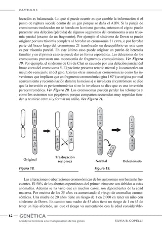 Genética
Desde la herencia a la manipulación de los genes
CAPÍTULO 5
62
Silvia B. Copelli
locación es balanceada. Lo que sí puede ocurrir es que cambie la información si el
punto de ruptura sucede dentro de un gen porque se daña el ADN. Si la pareja de
cromosomas traslocados no se hereda en la misma gameta, entonces el cigoto puede
presentar una deleción (pérdida) de algunos segmentos del cromosoma o una triso-
mía parcial (exceso de un fragmento). Por ejemplo el síndrome de Down se puede
originar por una trisomía completa al heredar un cromosoma 21 extra, o por heredar
parte del brazo largo del cromosoma 21 translocado en desequilibrio en este caso
es por trisomía parcial. En este último caso puede originar un patrón de herencia
familiar y en el primer caso se puede dar en forma esporádica. Las deleciones de los
cromosomas provocan una monosomía de fragmentos cromosómicos. Ver Figura
19. Por ejemplo, el síndrome de Cri du Chat es causado por una deleción parcial del
brazo corto del cromosoma 5. El paciente presenta retardo mental y lo caracteriza un
maullido semejante al del gato. Existen otras anomalías cromosómicas como las in-
versiones que implican que un fragmento cromosómico gira 180º (se origina por mal
apareamiento y recombinación durante la meiosis) si involucra al centrómero se dice
que la inversión es pericentromérica si no lo involucra se dice que es una inversión
paracentromérica. Ver Figura 20. Los cromosomas pueden perder los telómeros y
como los extremos son pegajosos porque comparten secuencias muy repetidas tien-
den a reunirse entre sí y formar un anillo. Ver Figura 21.
Las alteraciones o aberraciones cromosómicas de los autosomas son bastante fre-
cuentes. El 50% de los abortos espontáneos del primer trimestre son debidos a estas
anomalías. Además se ha visto que en muchos casos, son dependientes de la edad
materna. Por encima de los 35 años va aumentando el riesgo de anomalías cromo-
sómicas. Una madre de 20 años tiene un riesgo de 1 en 2.000 en tener un niño con
síndrome de Down. En cambio una madre de 45 años tiene un riesgo de 1 en 45 de
tener un hijo afectado, así que el riesgo va aumentando con la edad considerable-
Figura 18. Figura 19.
 