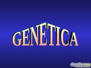 GENETICA GENETICA 